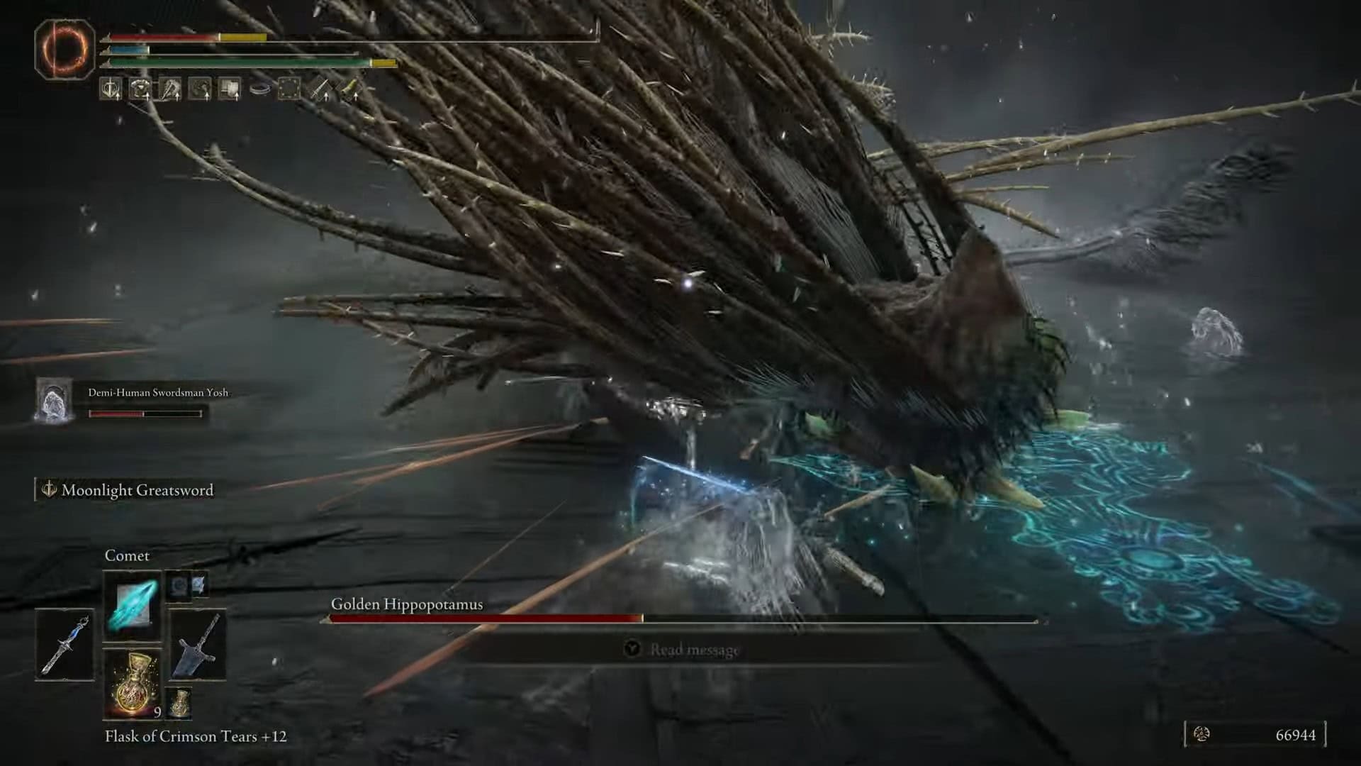 Seconda fase dell'ippopotamo dorato