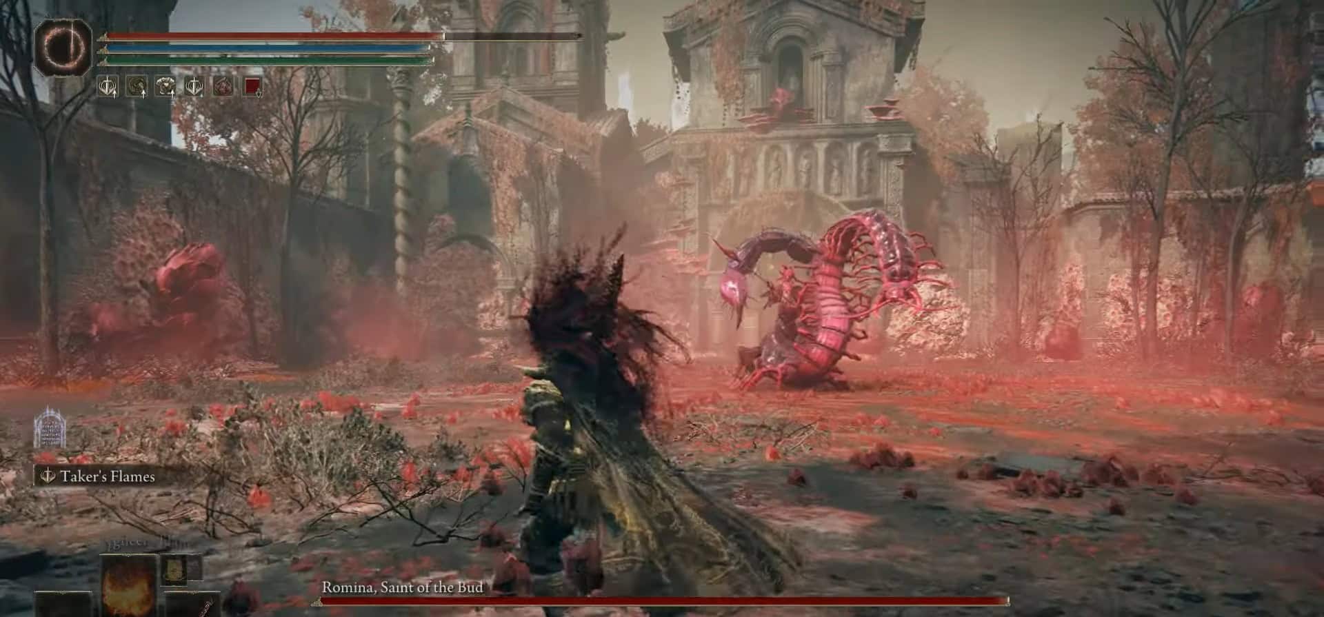 Romina santo del bocciolo