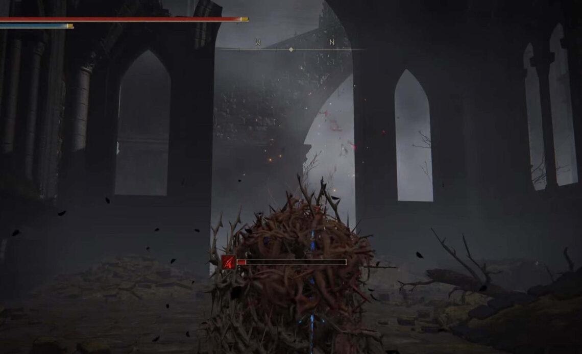 Mantle of Thorns Elden Ring