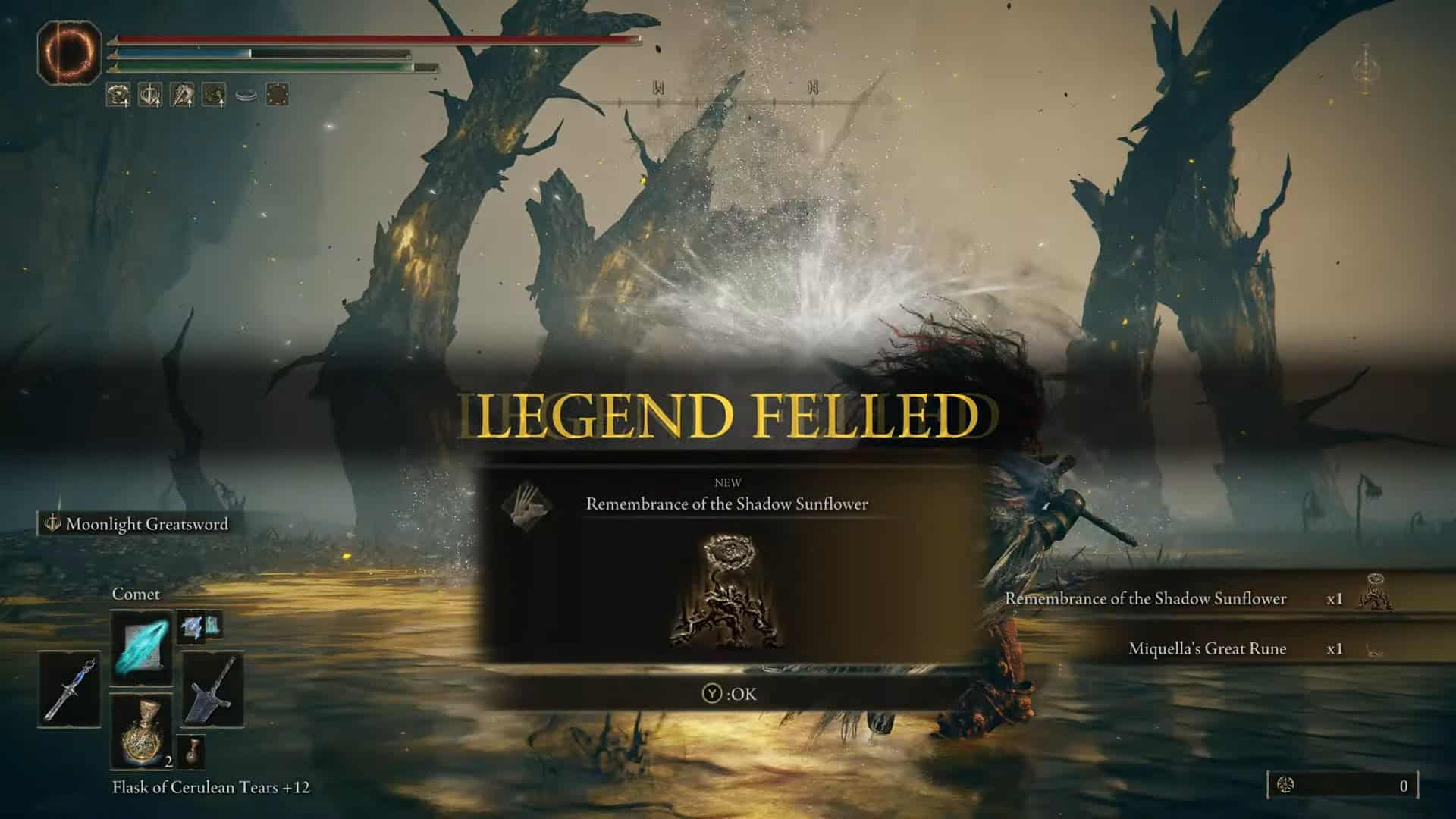 Remembrance of the Shadow Sunflower