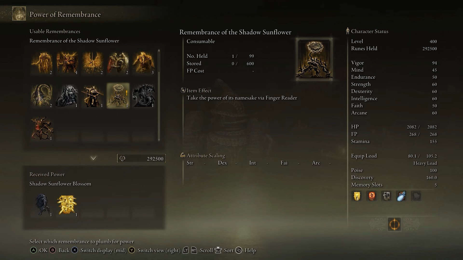 statistiche di fiori di girasole ombra