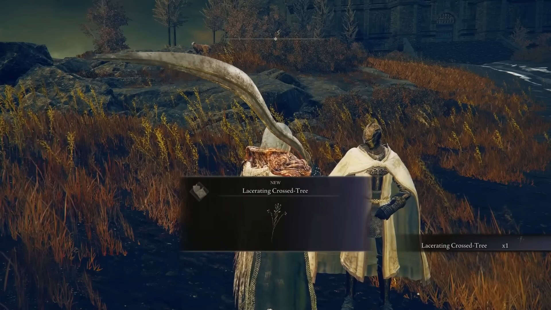 Posizione di talisman degli alberi incrociati laceranti