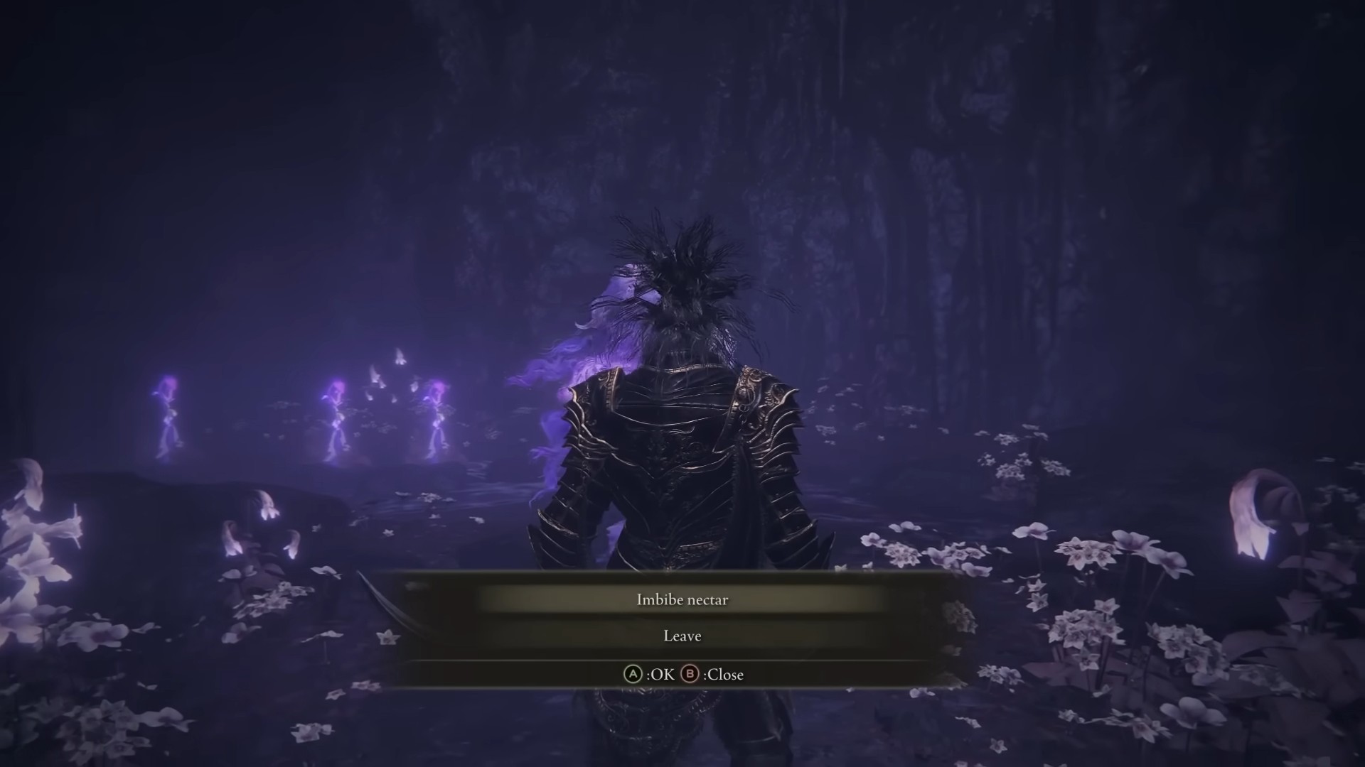 imbibe nectar st trina elden anello