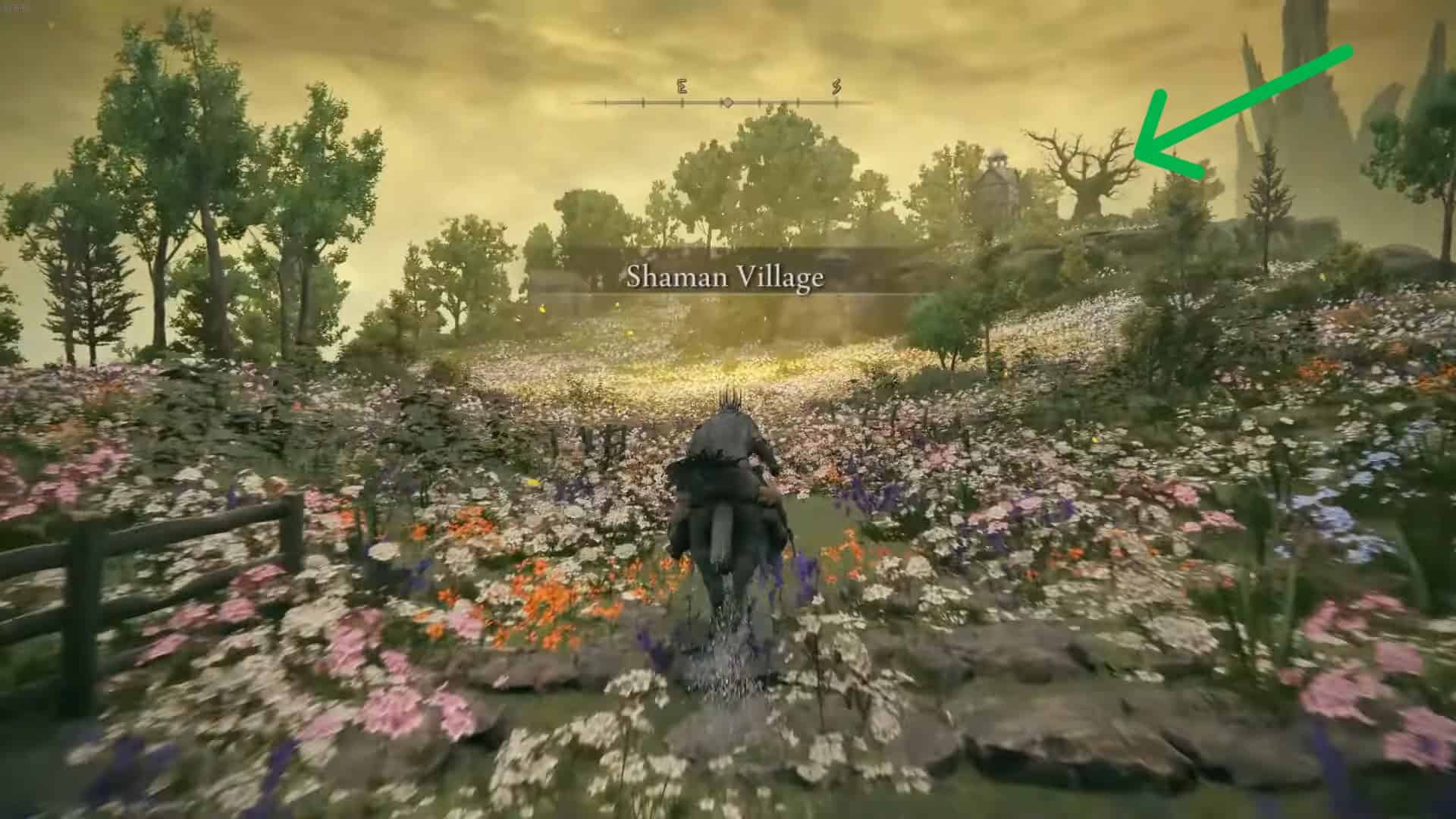 Posizione della treccia d'oro Anello Elden