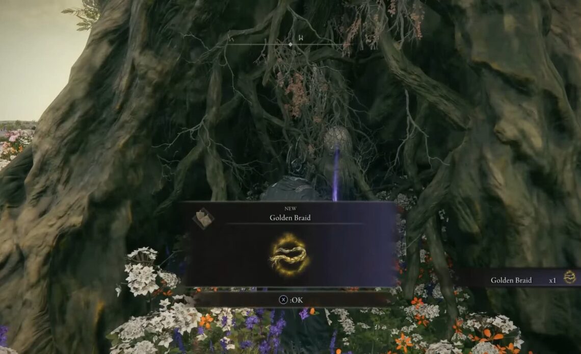 Golden Braid elden ring
