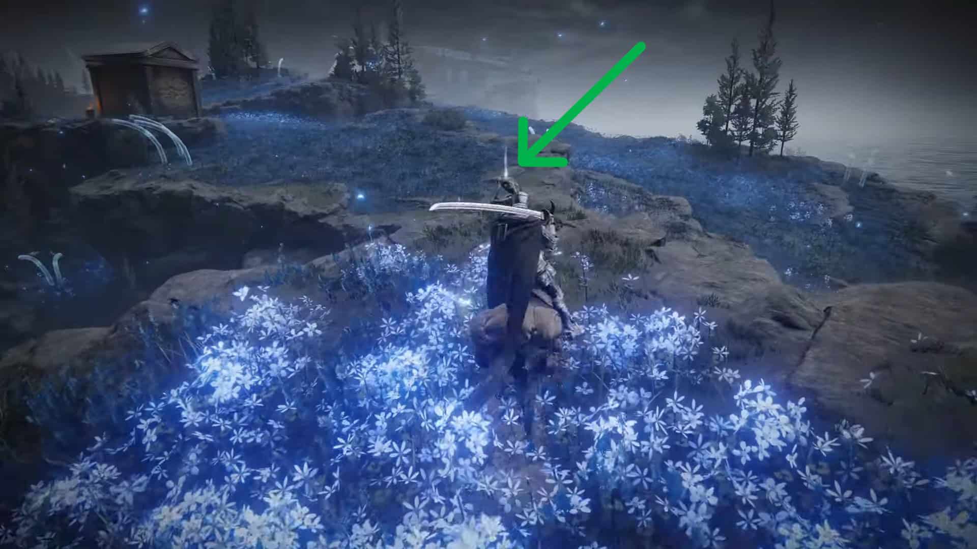 Olio profumato della posizione di Ranah