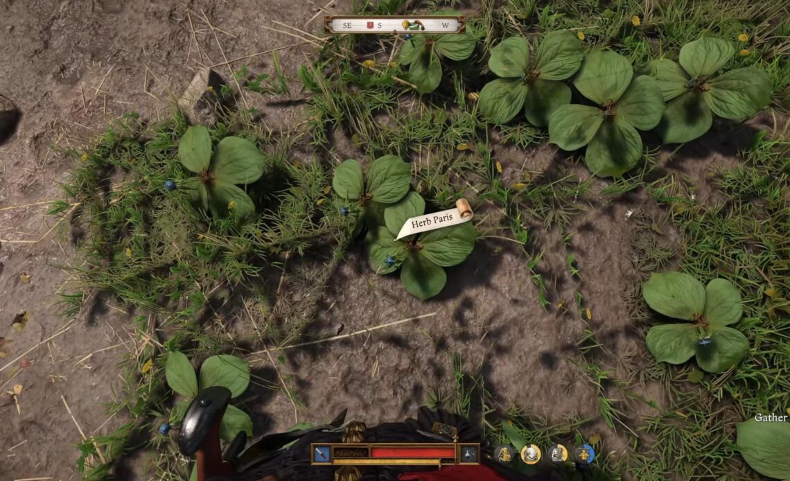 herb paris kingdom come 2