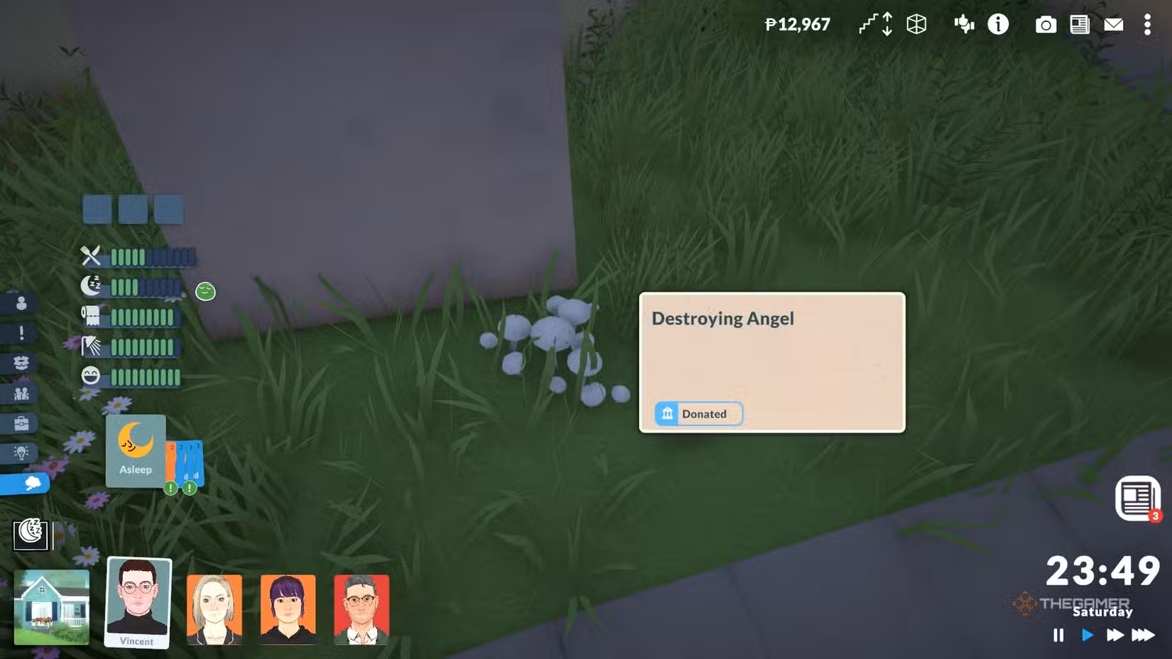 Funghi Destroying Angel in Paralives