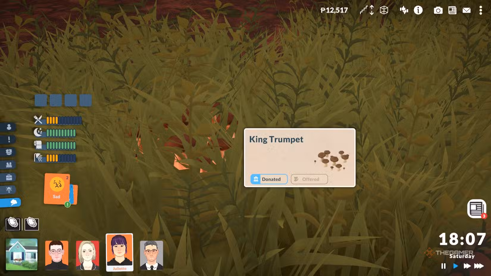 Funghi King Trumpet in Paralives