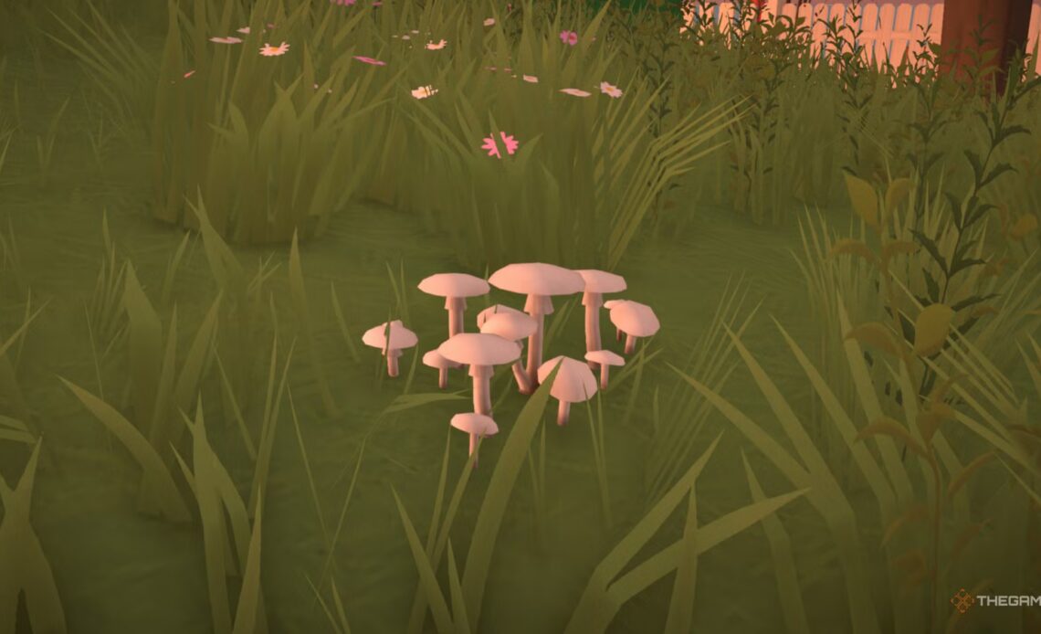 All Mushroom Types In Paralives