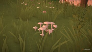 Paralives: guida completa a tutte le tipologie di funghi