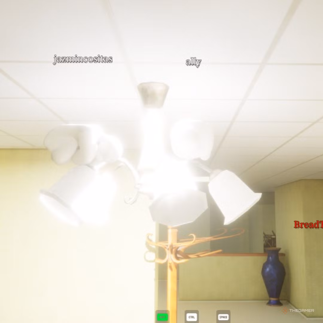 Nascondersi sulla lampada del soffitto