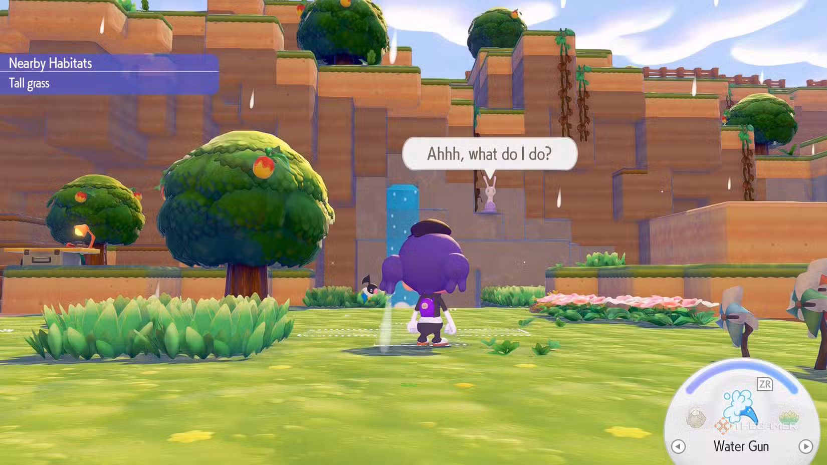 Pokémon Ditto osserva la richiesta di Sliggoo