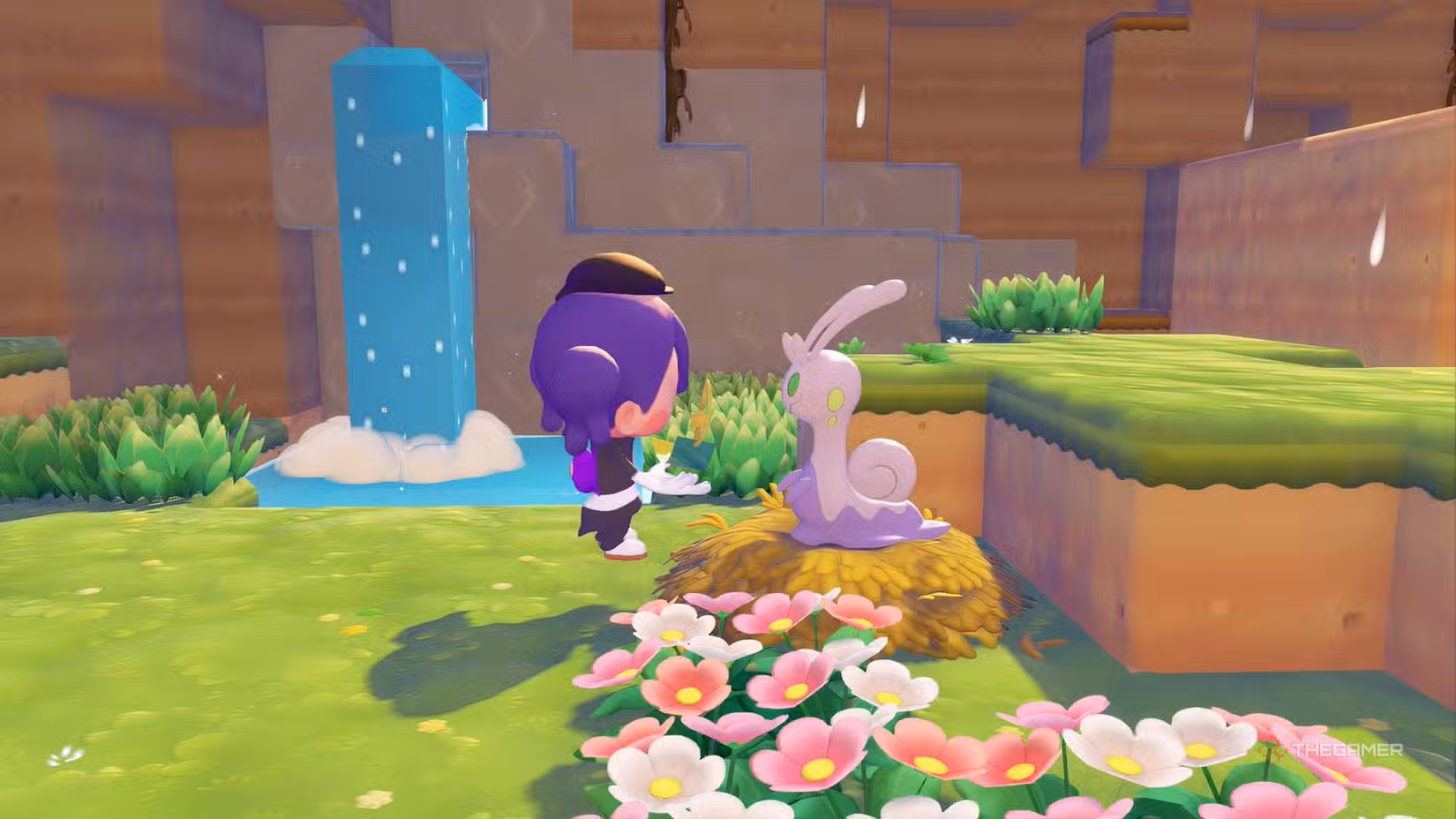 Ditto mostra una Wish Note scintillante