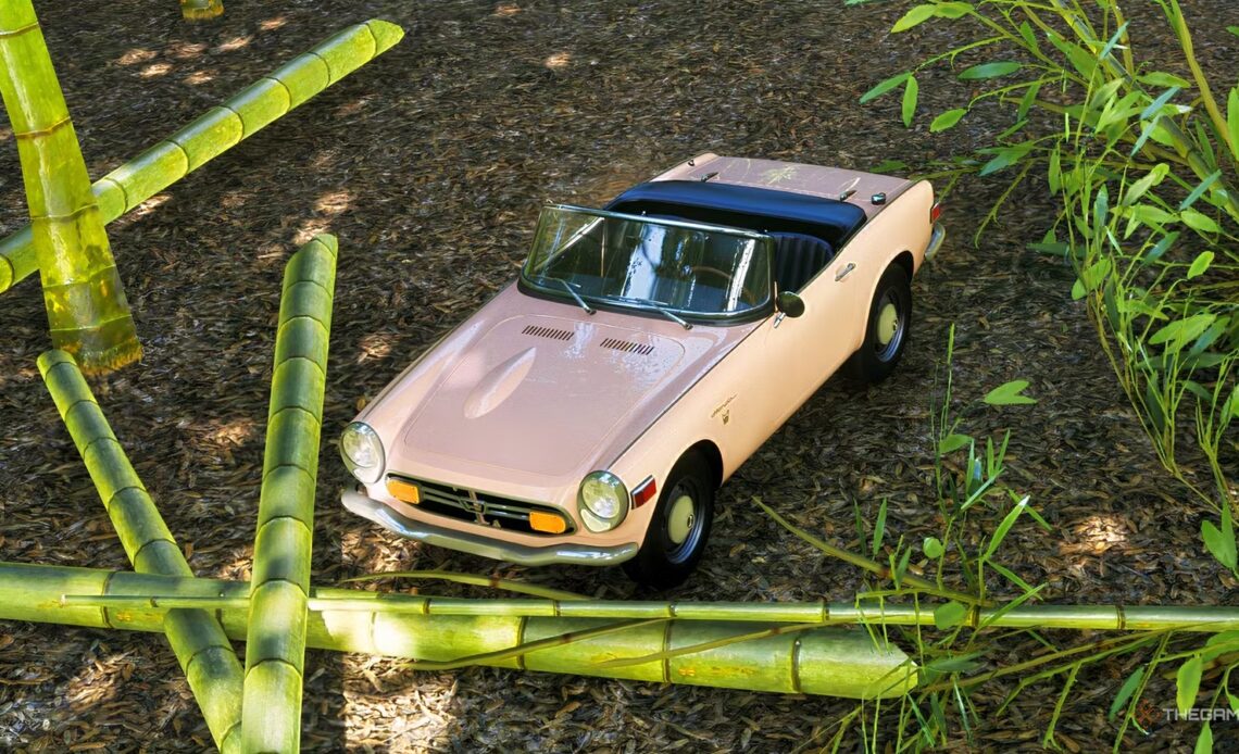 Where To Find Bamboo In Forza Horizon 6