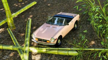 Dove trovare il bamboo in Forza Horizon 6: la guida completa
