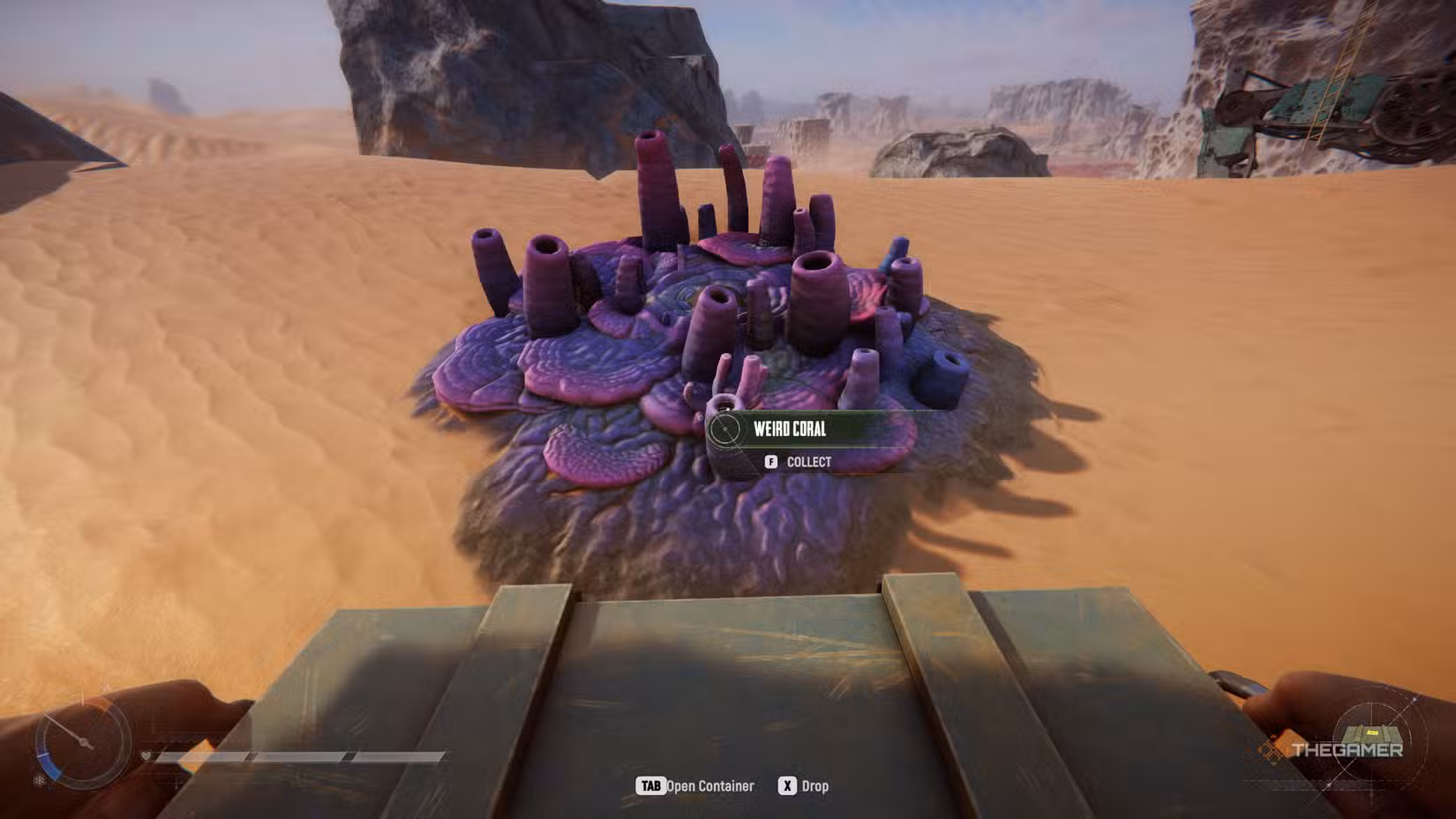 Giocatore che raccoglie Weird Coral e Coral Chunks in Sand: Raiders of Sophie