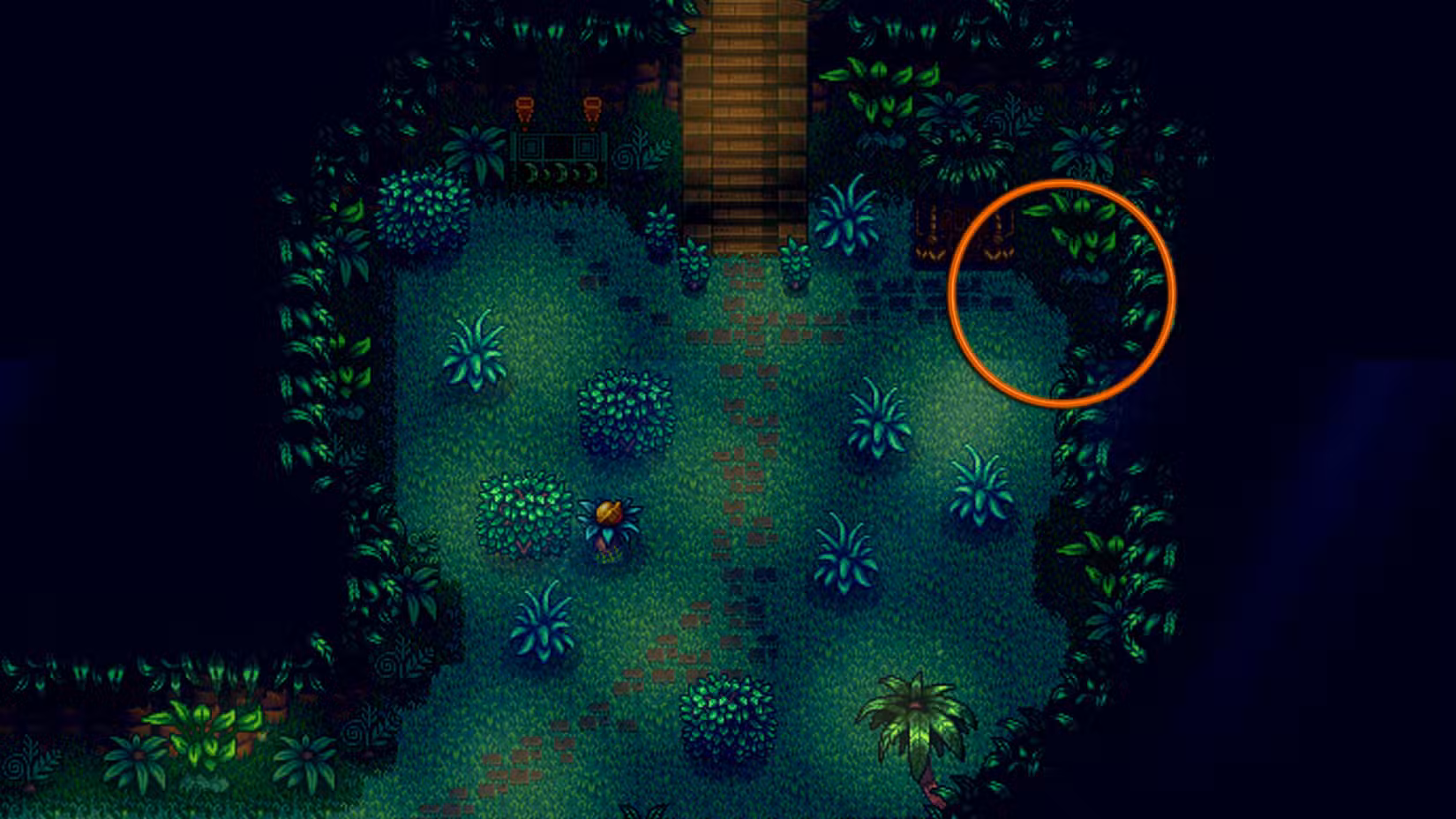 Ingresso al puzzle Gem Bird su Ginger Island, evidenziato in arancione