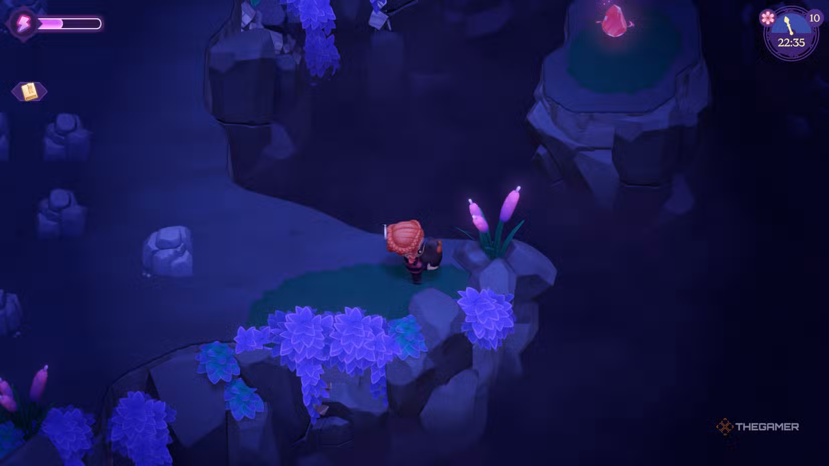 Vampster vicino a una pianta rosa