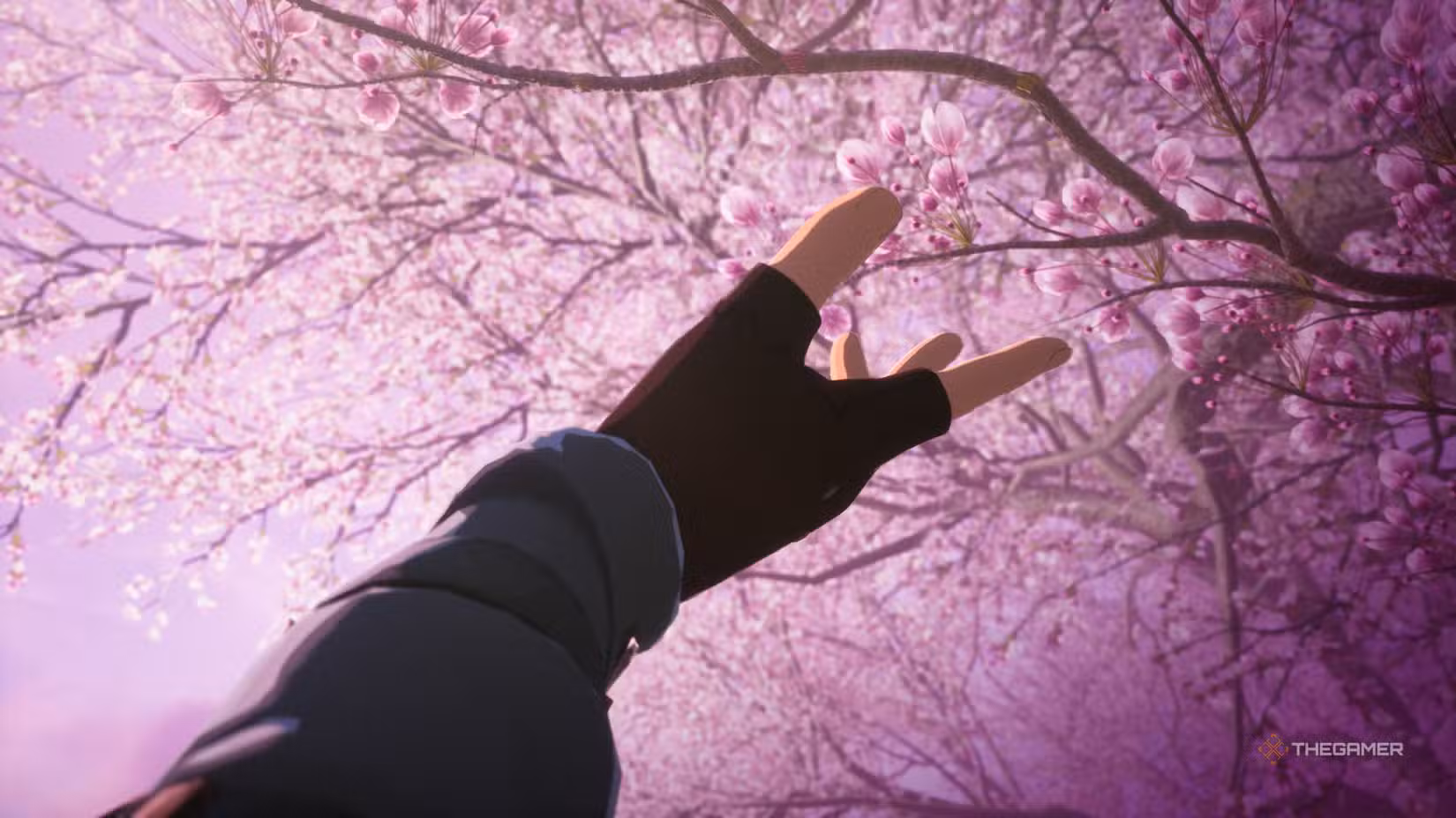 Iori che si avvicina ai fiori di ciliegio in Echoes of Aincrad