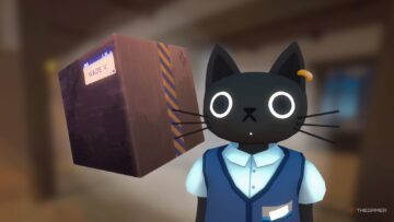 Ripara i pacchi danneggiati in Cat Mail Co.: guida passo passo
