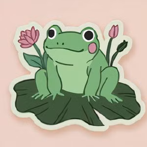 Sticker di una rana su un pacco