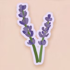 Sticker di lavanda su un pacco