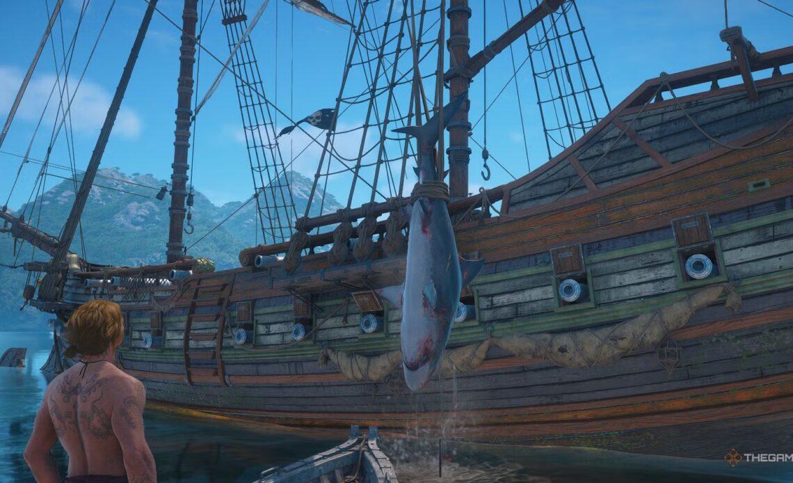 Where To Find All Animals In Assassin's Creed: Black Flag Resynced