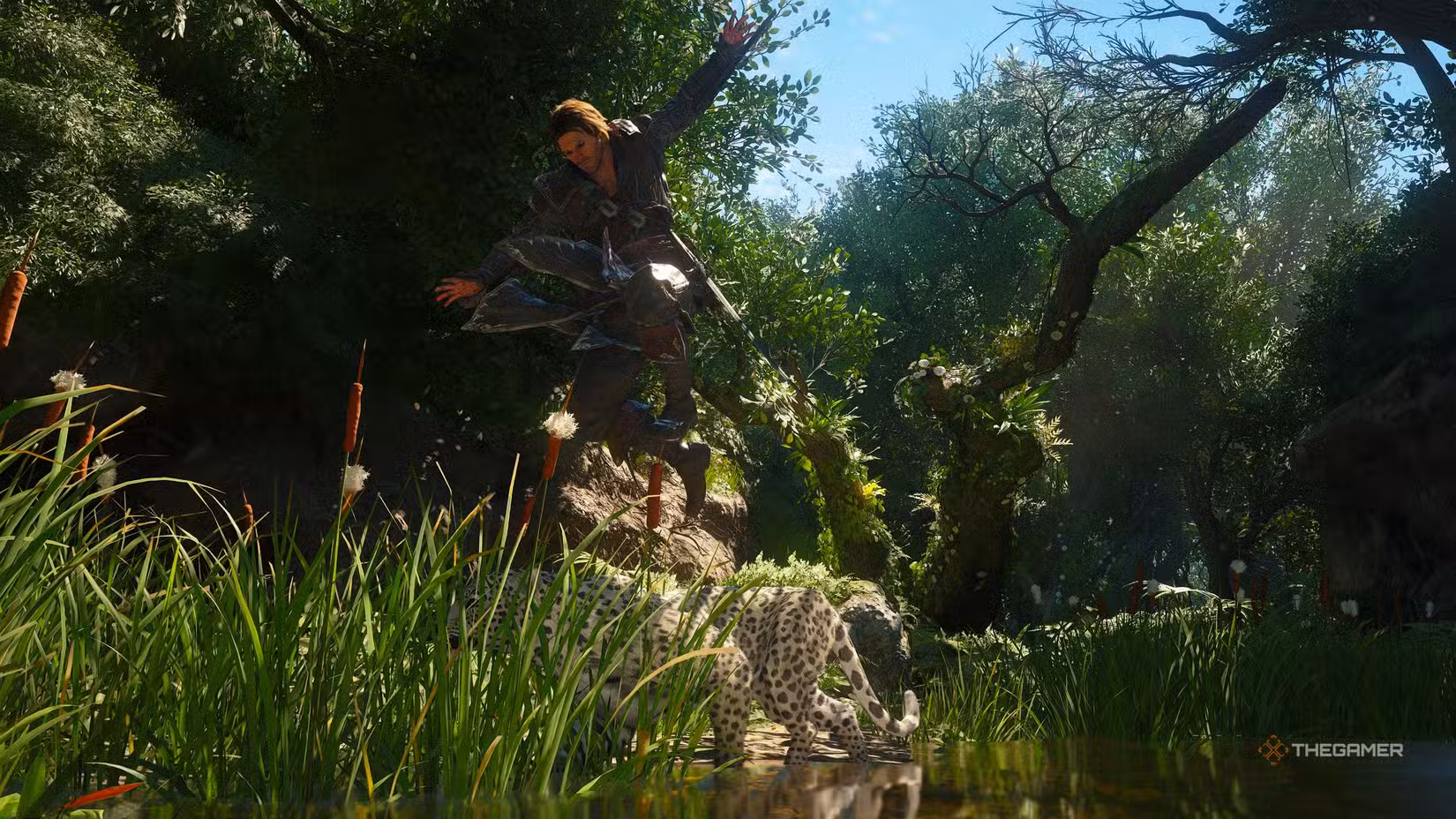 Mappa delle posizioni degli animali per il crafting in Assassin's Creed: Black Flag Resynced.