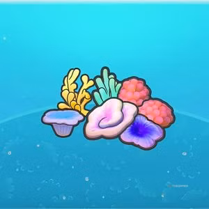Habitat Coral Congregation in Pokemon Pokopia