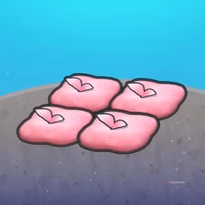Habitat Marine Mossy Rest Spot in Pokemon Pokopia