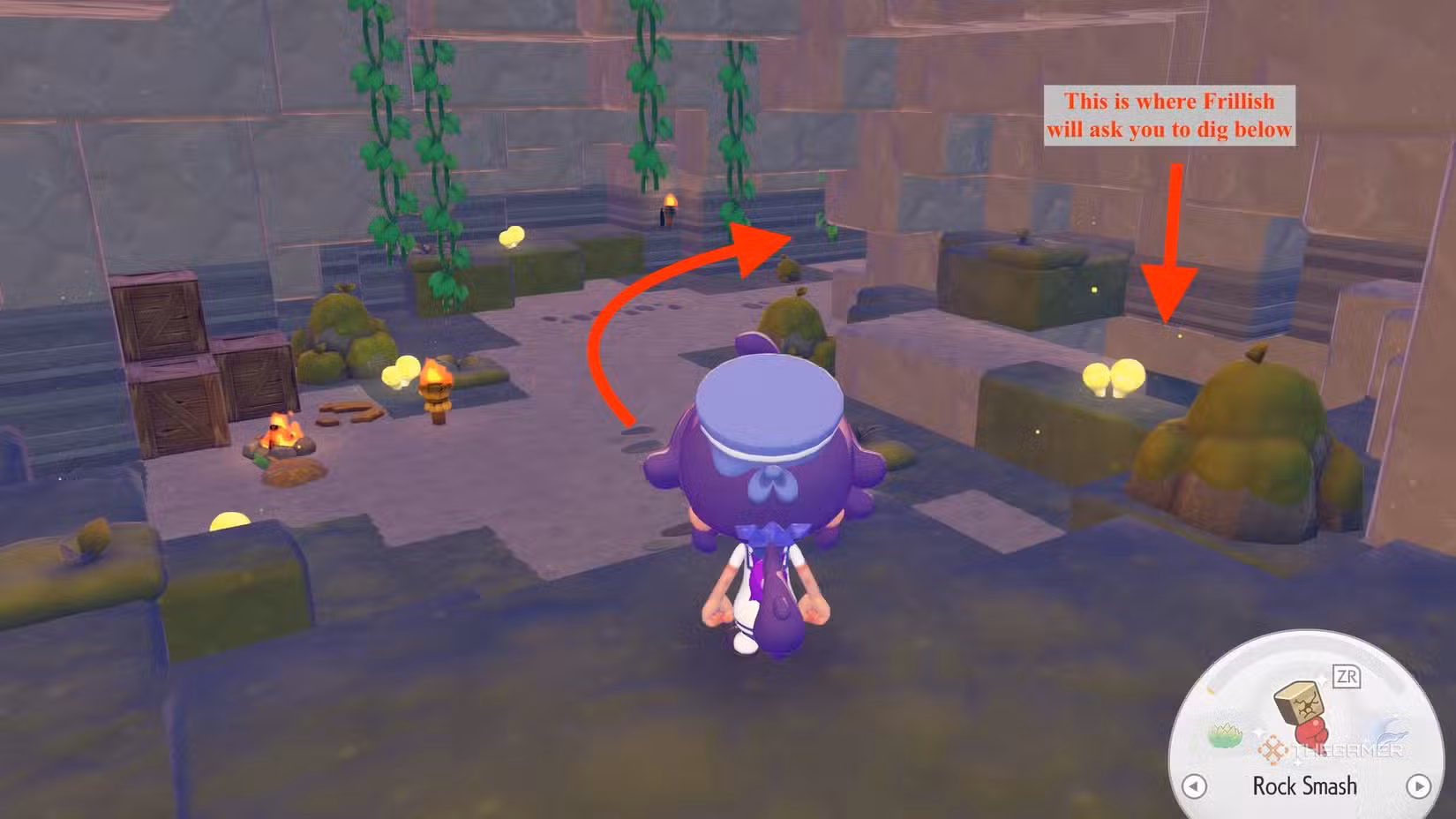 Scelta di due percorsi nella caverna, mostrata da Ditto in Pokemon Pokopia.