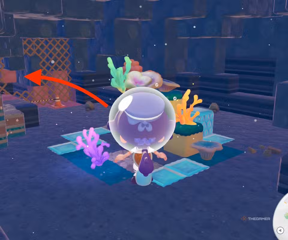 Indicazione per Ditto su come attraversare la rete nella caverna.