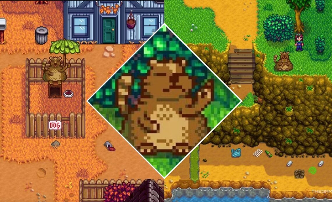 How To Complete Trash Bear's Quests Tasks In Stardew Valley